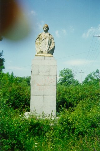 Photograph
